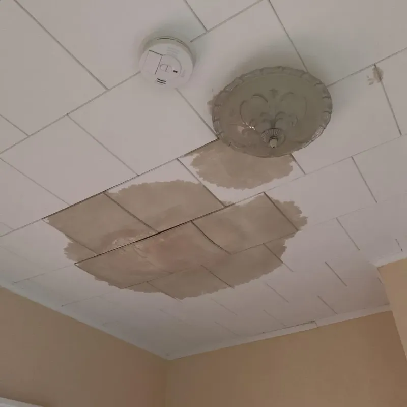 Ceiling Water Damage Repair in Braintree, MA